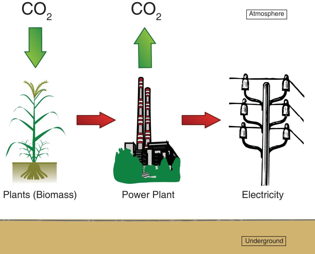 Diagram of Bioenergie power plant without carbon capture and storage cropped ALL ABOUT CHEMISTRY