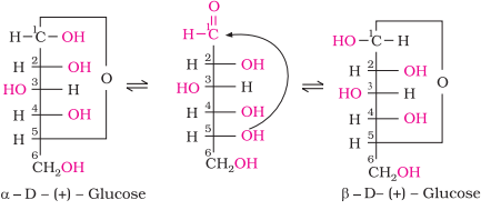 Carbohydrates-ISC Chemistry Project | All About Chemistry